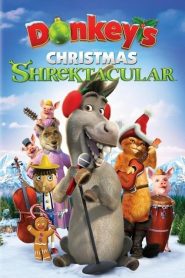 Noel Şarkıları Özel Gösterisi (2010) Türkçe Dublaj izle